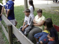 2006 Sommer